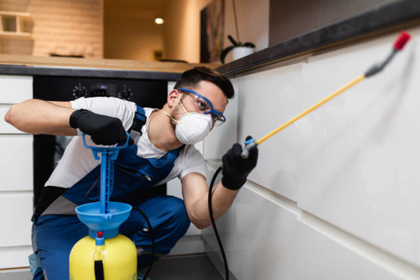 Best Flea Control Services  in Weyauwega, WI