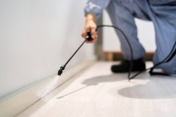 Best Best Pest Control Companies  in Weyauwega, WI