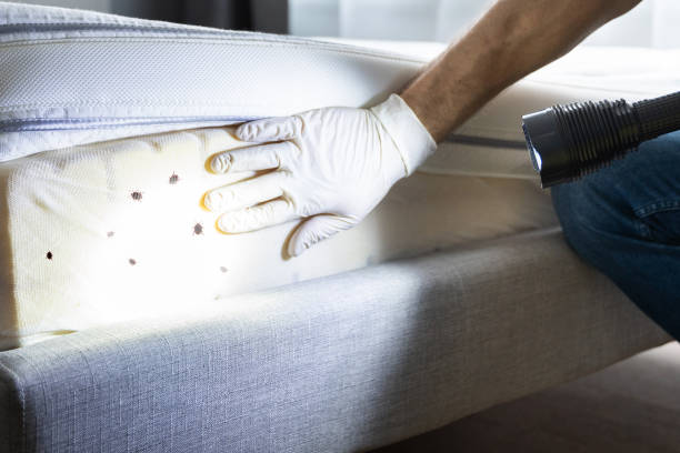 Best Mosquito Control Services  in Weyauwega, WI