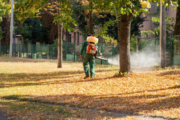  Weyauwega, WI Pest Control Pros