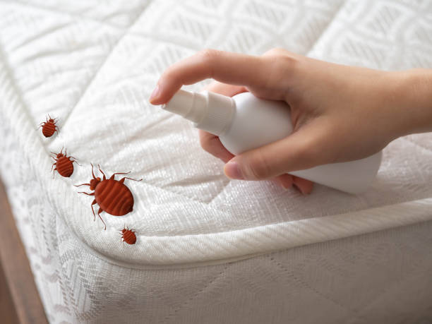 Best Mosquito Control Services  in Weyauwega, WI