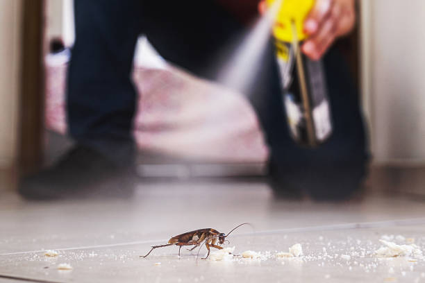 Best Termite Control Services  in Weyauwega, WI