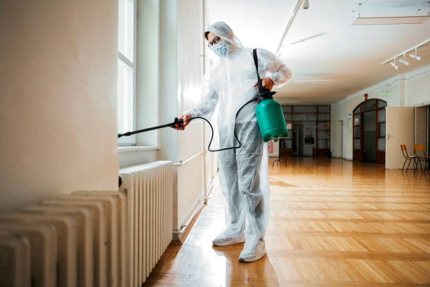 Best Best Pest Control Companies  in Weyauwega, WI