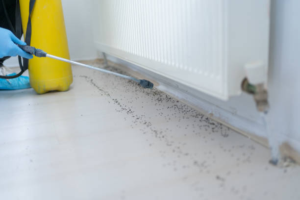 Reliable Weyauwega, WI Pest Control Solutions