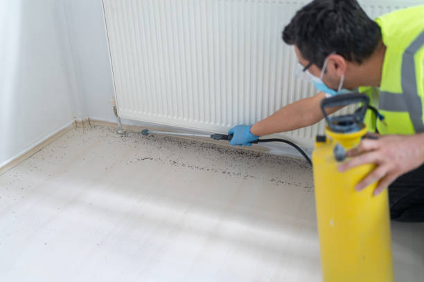 Best Commercial Pest Control Services  in Weyauwega, WI