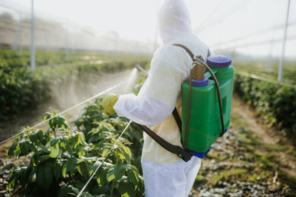Best Pest Prevention Services  in Weyauwega, WI